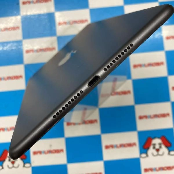 iPad mini 第5世代 Wi-Fiモデル 256GB MUU32J/A A2133 スペースグレイ