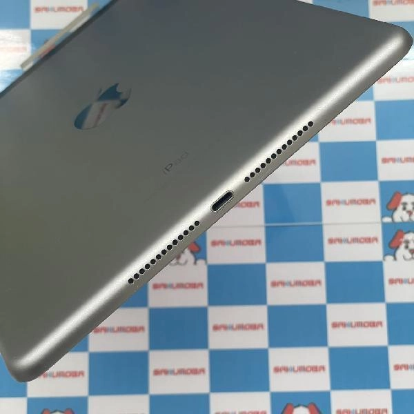 iPad 第6世代 docomo版SIMフリー 32GB MR6N2J/A A1954