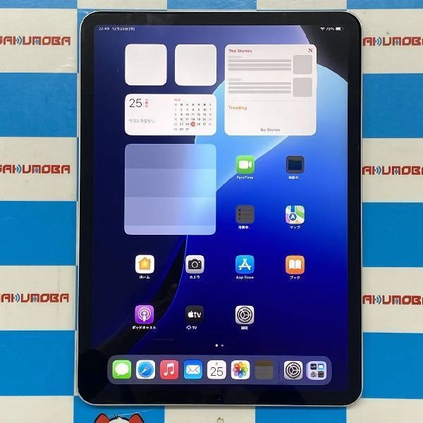 iPad Pro 11インチ 第2世代 Wi-Fiモデル 128GB MY252KH/A A2228 極美品 シルバー