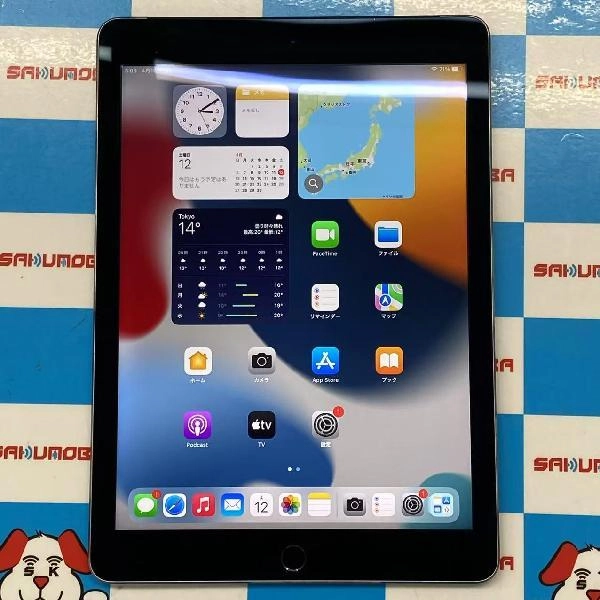 iPad Air 第2世代 au 16GB MGGX2J/A A1567 スペースグレイ