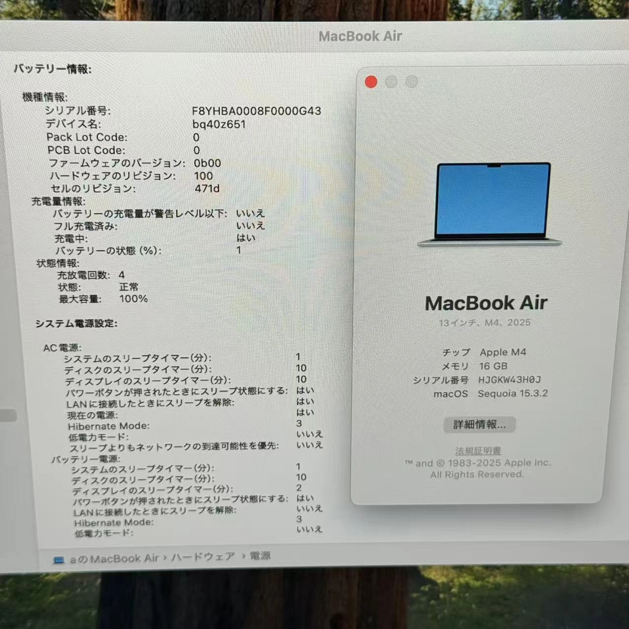 MacBook Air 13インチ Early2025 Apple M4 16GB/512GB 10GPU 10CPU スカイブルー MC6U4J/A 新品同様