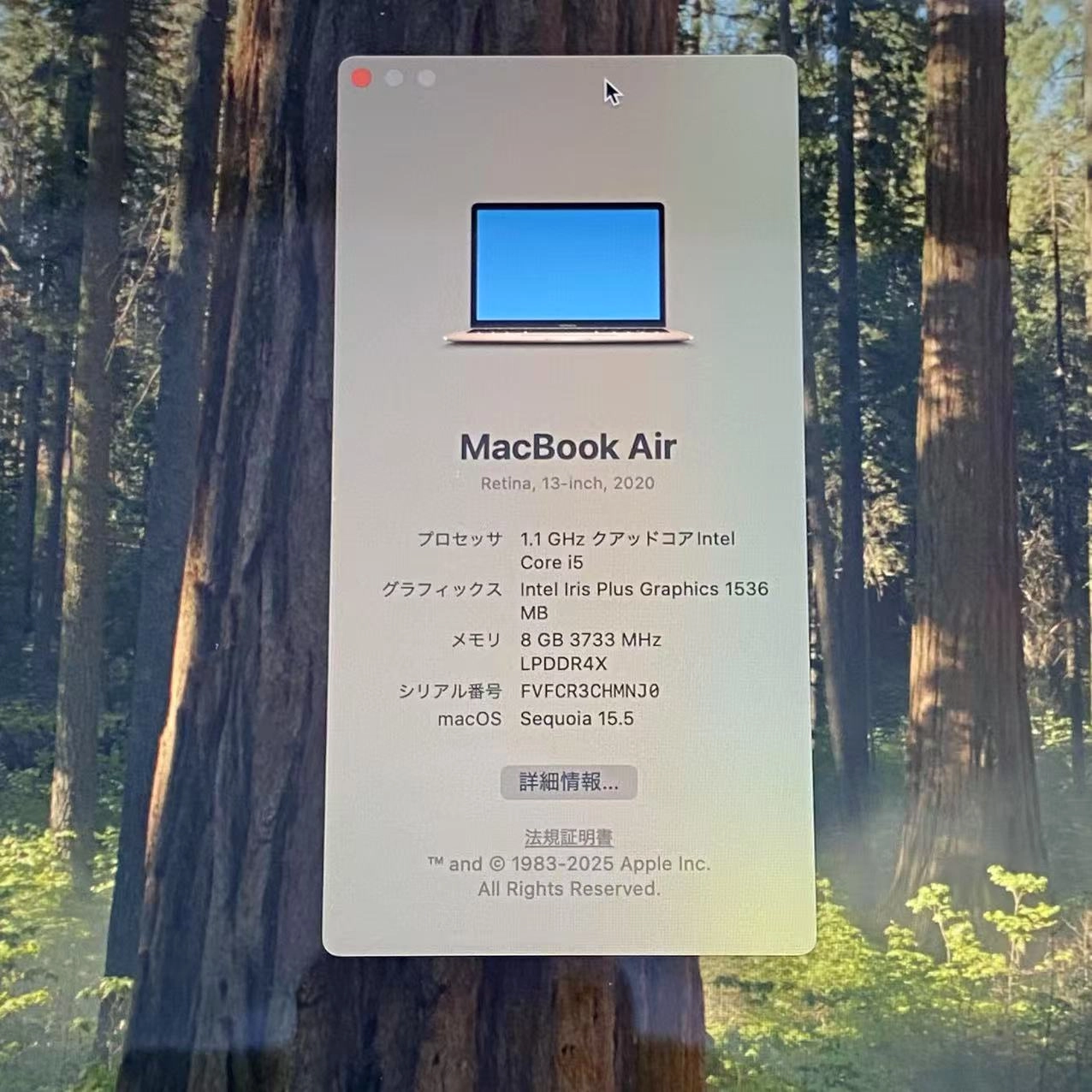 MacBook Air 13インチ Early2020 Corei3 8GB/256GB ゴールド MWTL2J/A