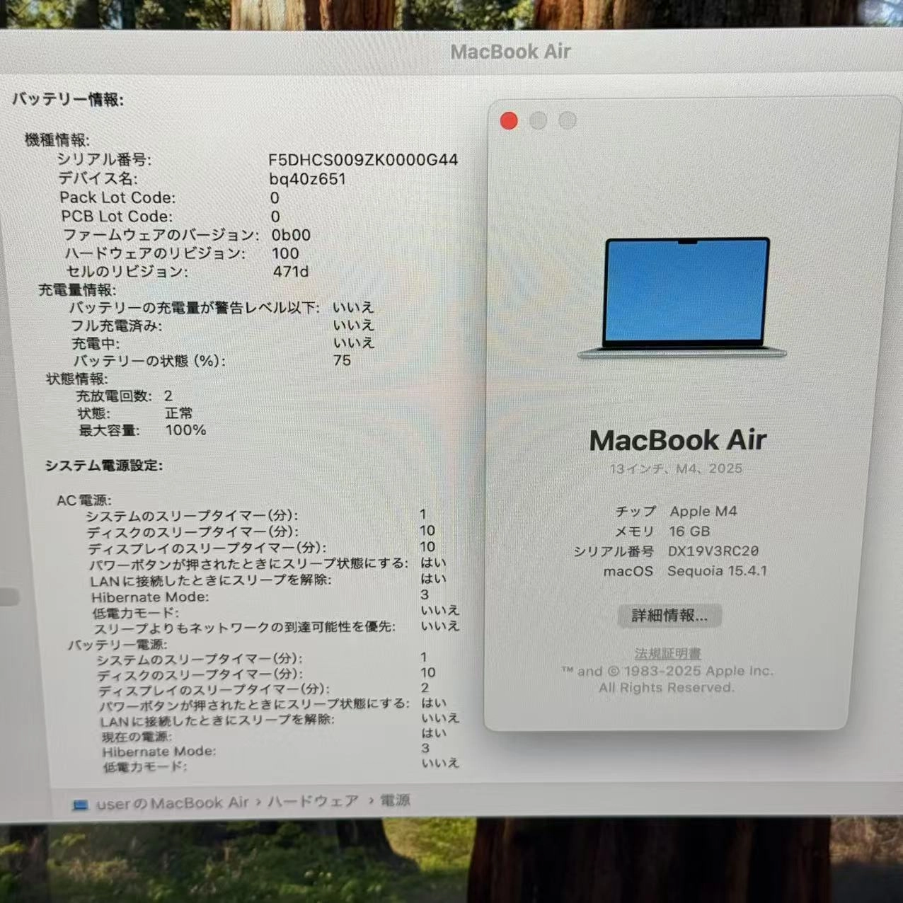 MacBook Air 13インチ 2025 M4 10CPU 8GPU 16GB/256GB スカイブルー MC6T4J/A 極美品