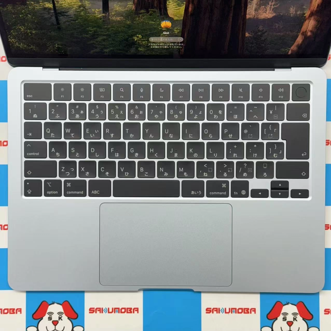 MacBook Air 13インチ Early2025 Apple M4 16GB/256GB 10CPU 8GPU スカイブルー MC6T4J/A 極美品