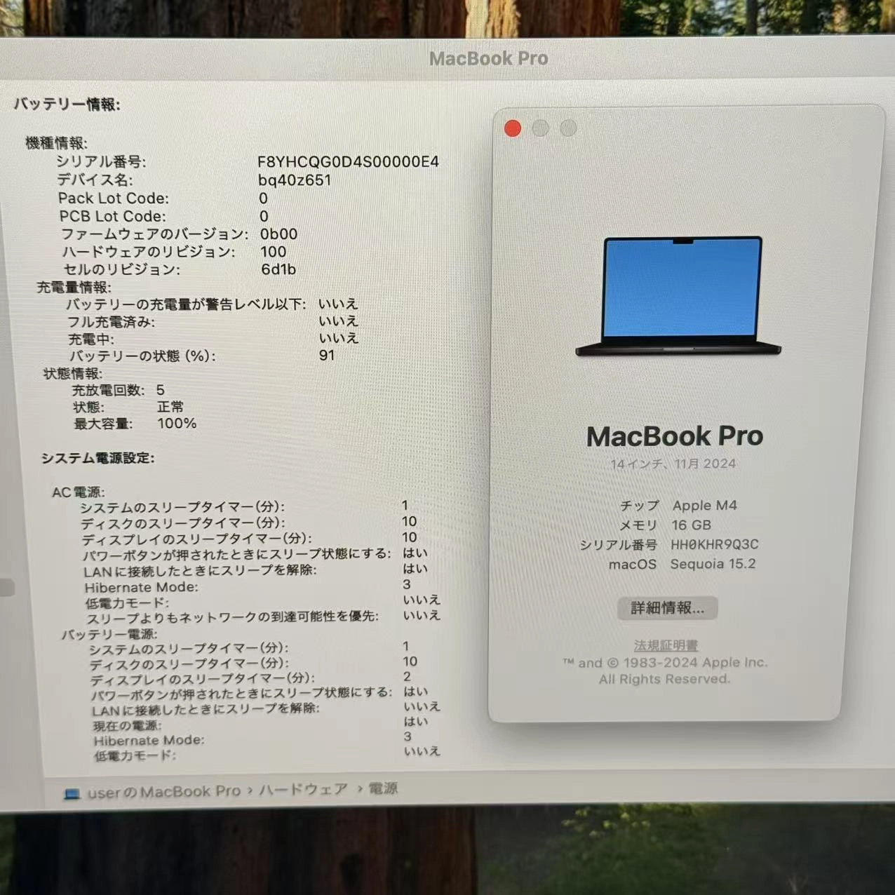 MacBook Pro 14インチ 2024 M4(10コア) 10コアGPU 16GB/512GB USキーボード MW2U3J/A 充電9回 新品同様 スペースブラック