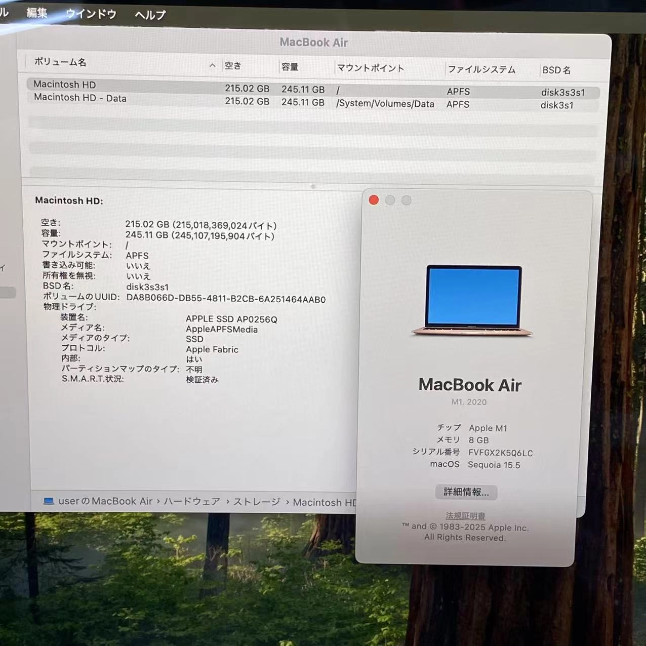 MacBook Air 13インチ Late2020 Apple M1 8GB/256GB ゴールド MGND3J/A 8CPU 7GPU 極美品