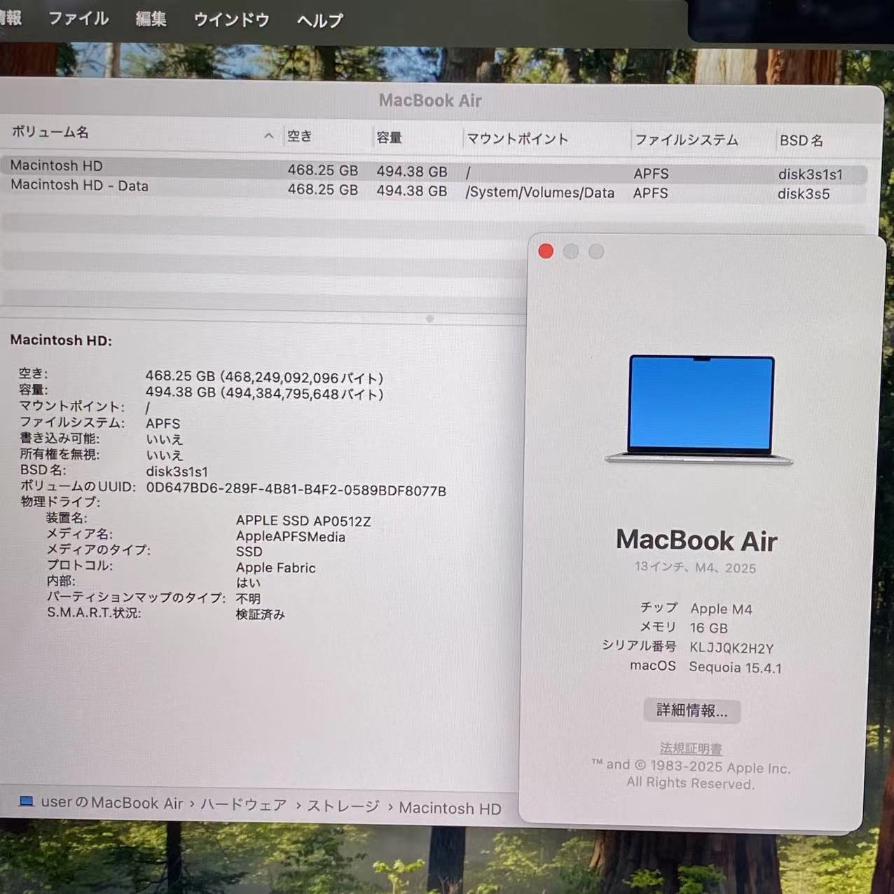 MacBook Air 13インチ Early2025 Apple M4 10CPU 10GPU シルバー MW0X3J/A 16GB/512GB