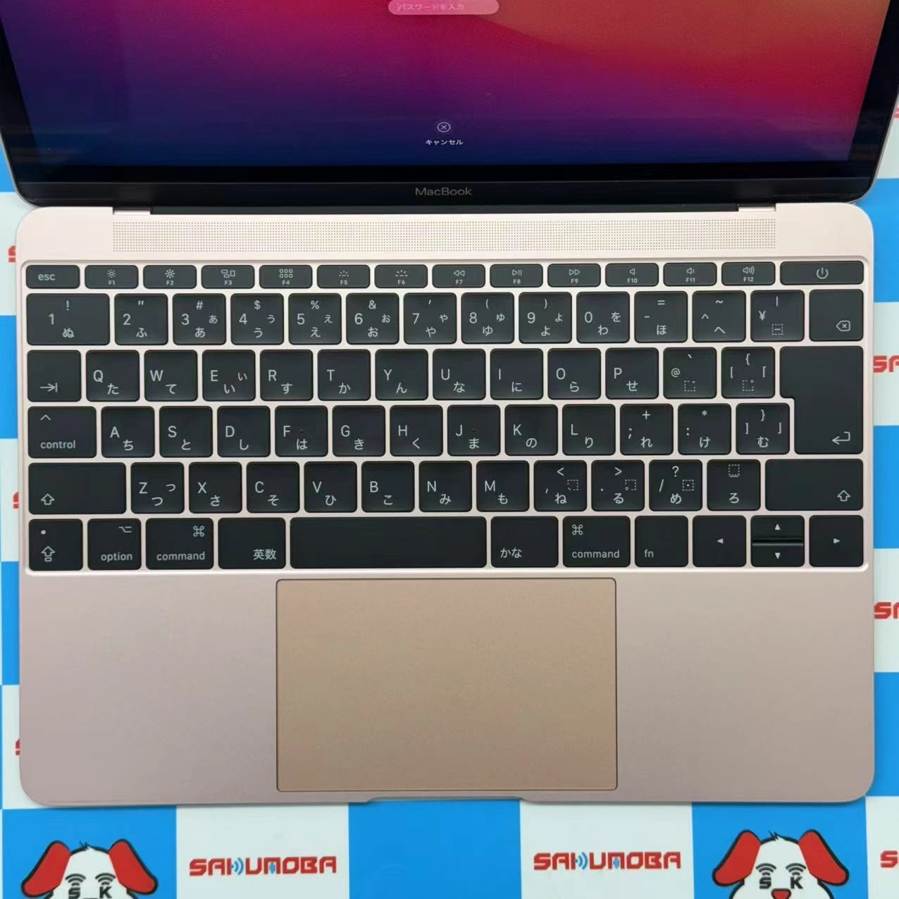MacBook 12インチ 2017 8GB/256GB 1.2GHz Core m3 ローズゴールド MNYM2J/A 美品