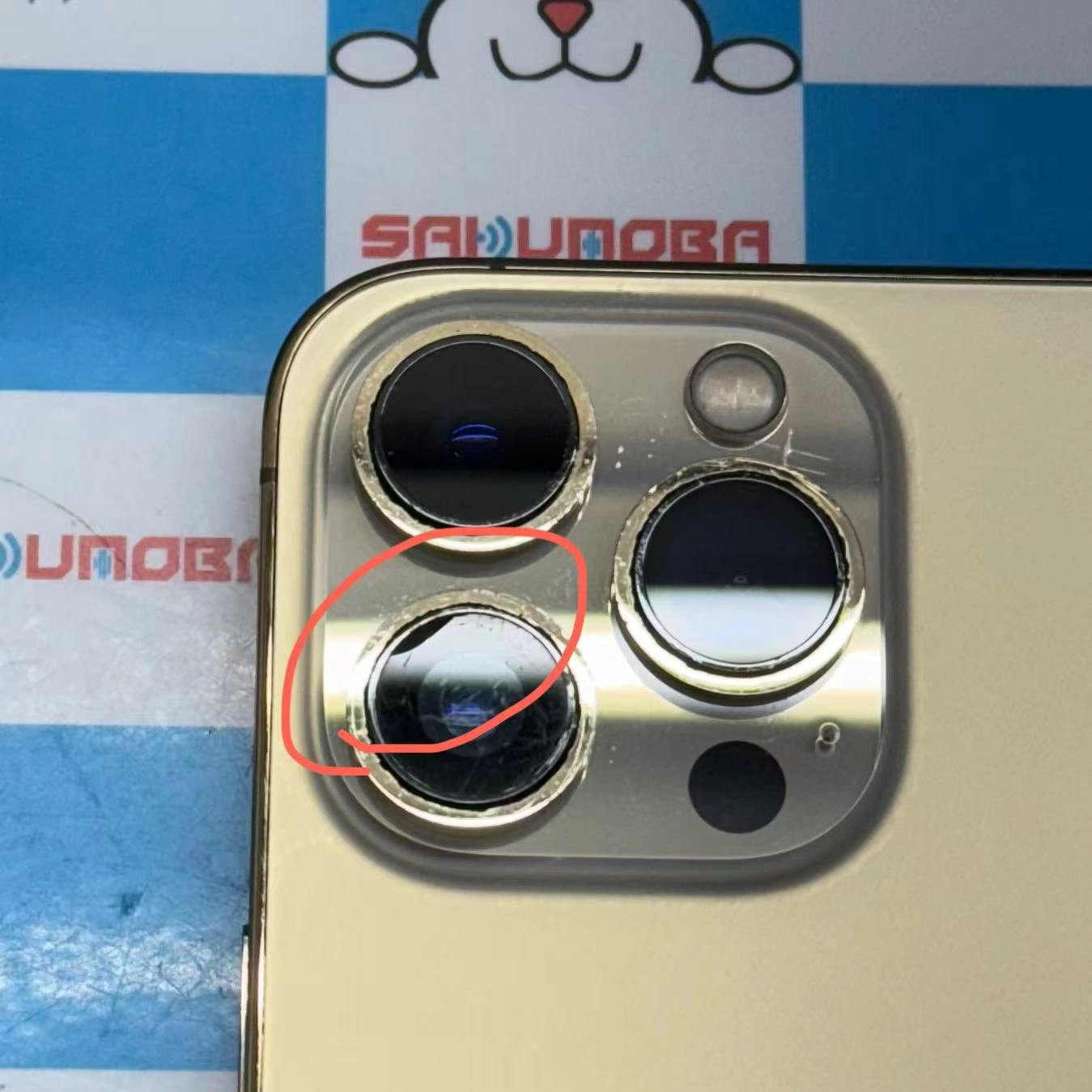 iPhone13 Pro 256GB ゴールド MLUQ3J/A docomo版SIMフリー ジャンク品