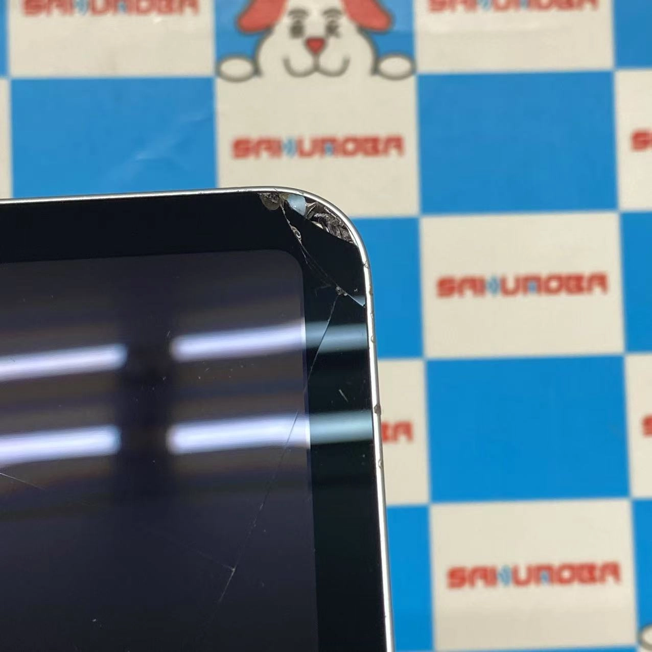 iPad mini 第7世代 (A17 Pro) Wi-Fiモデル 128GB ブルー MXN73J/A ジャンク品