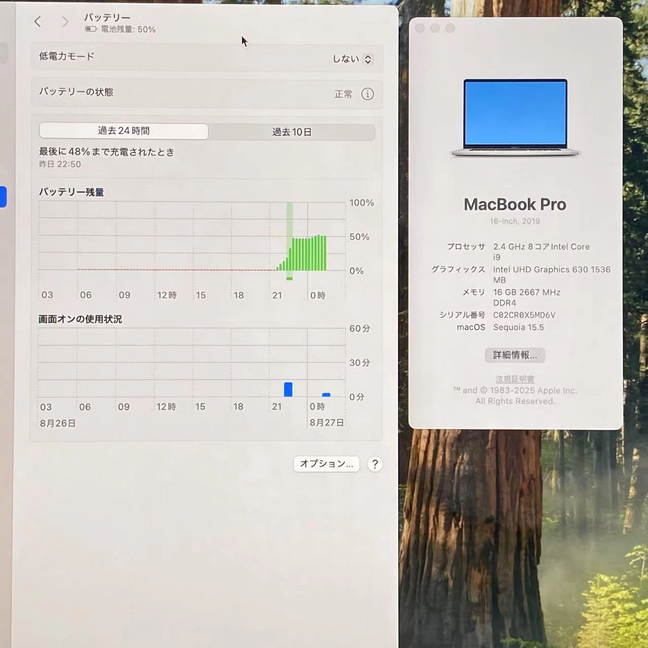 Macbook Pro 16インチ 2019 16GB/512GB シルバー A2141