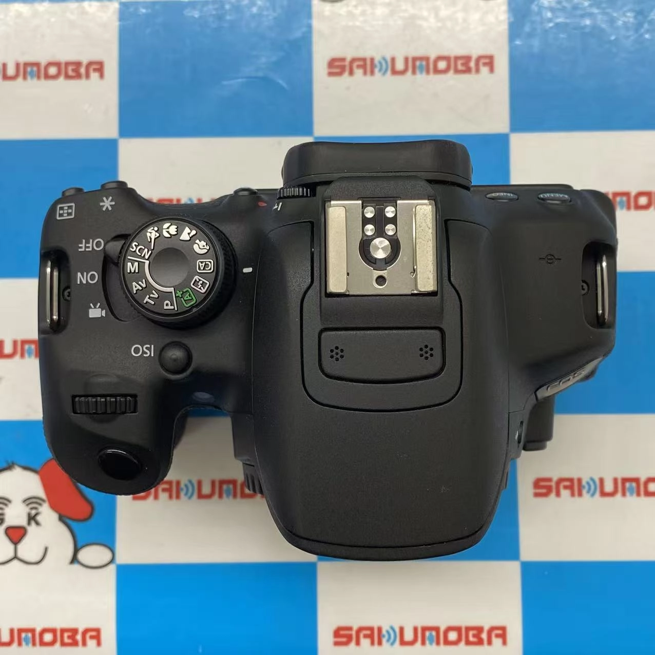 EOS Kiss X7i ダブルズームキット ブラック KISSX7i-WKIT 美品