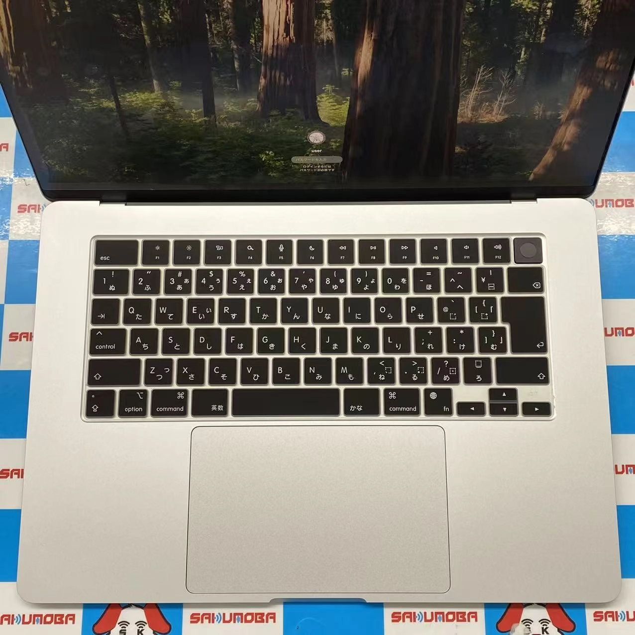 MacBook Air 13インチ Early2025 Apple M4 10CPU 10GPU 16GB/256GB シルバー z1db000ekj/a 極美品