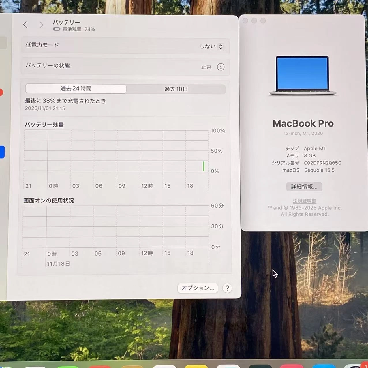 MacBook Pro 13インチ Late2020 Apple M1 8GB/256GB シルバー MYDA2J/Aジャンク