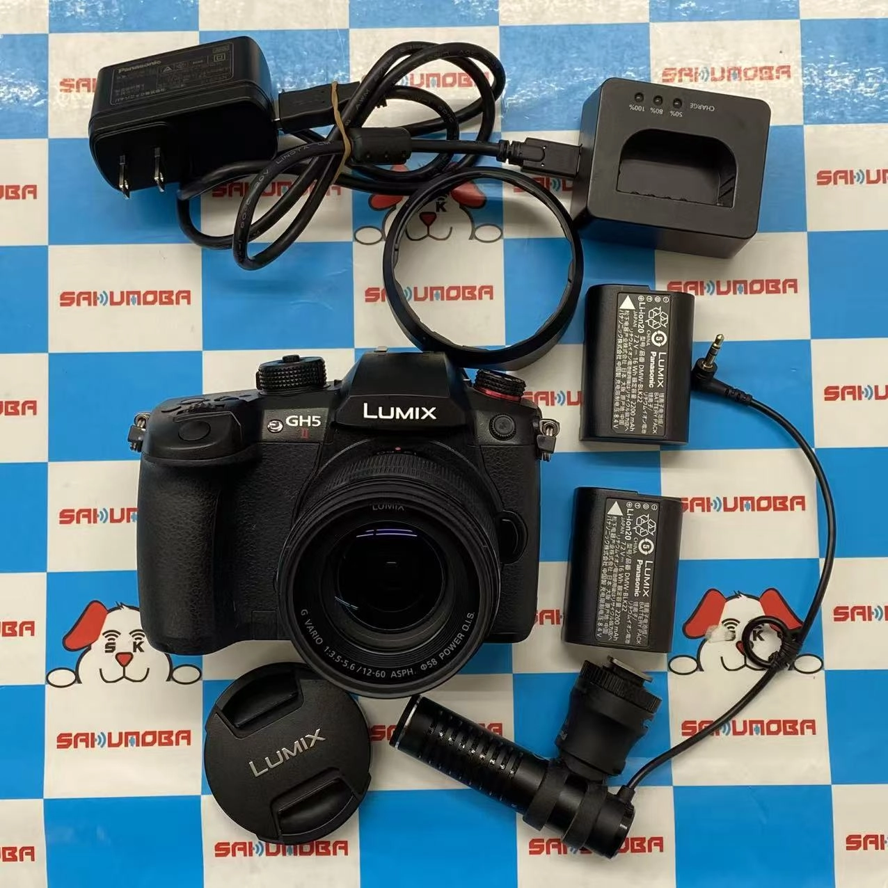 Panasonic LUMIX DC-GH5M2M 標準ズームレンズキット ブラック 美品