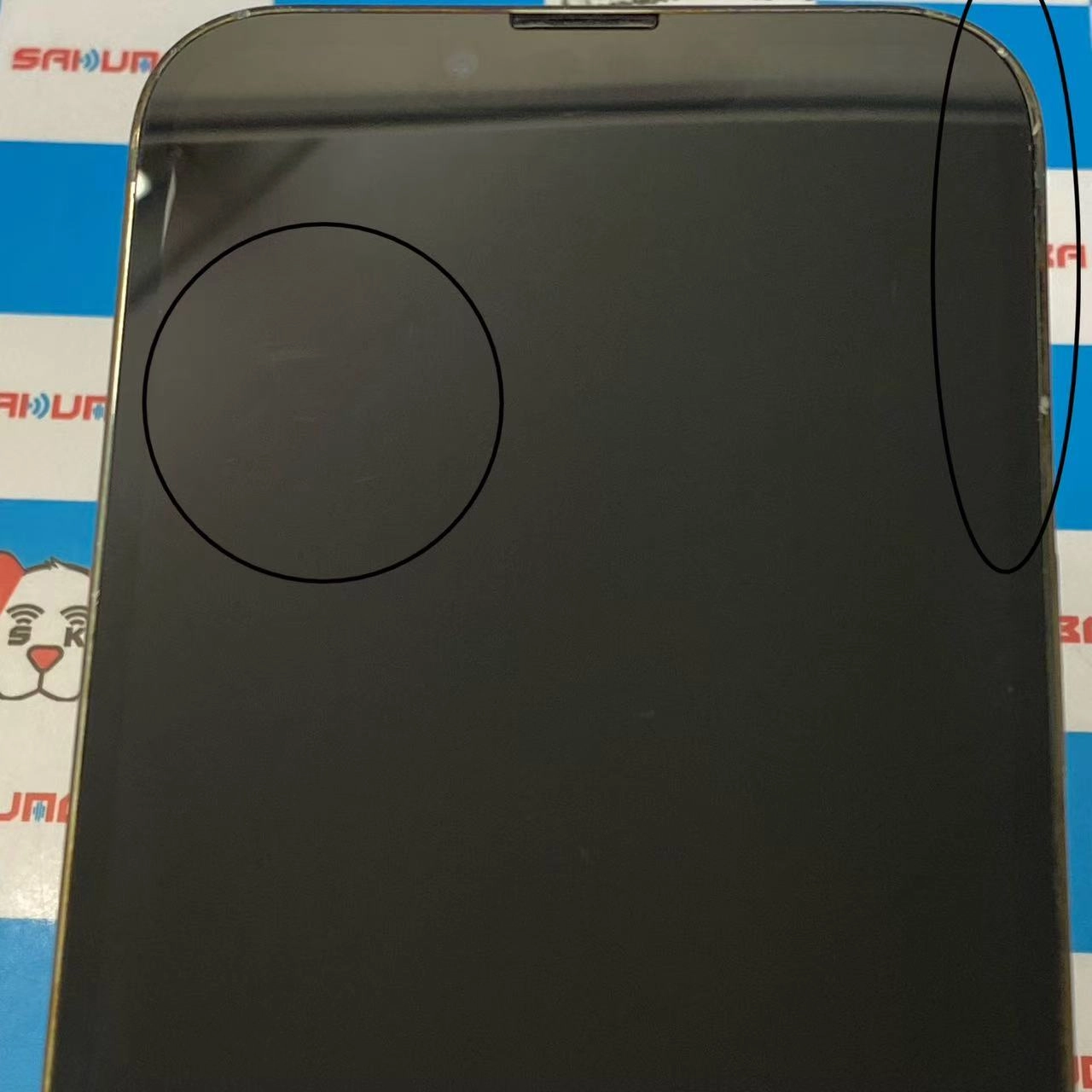 iPhone13 Pro 128GB アルパイングリーン MNDX3J/A SoftBank版SIMフリージャンク品