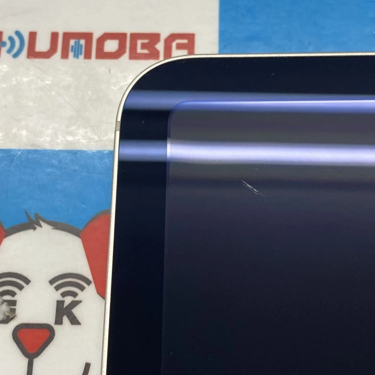 iPad mini 第6世代 Wi-Fi+Cellularモデル 256GB 4K8H3LL/A 海外版SIMフリー ジャンク品