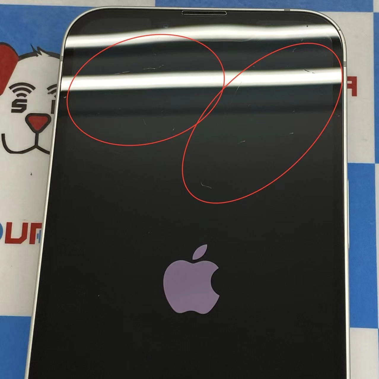iPhone 16e 128GB ホワイト MD1R4J/A SoftBank版SIMフリー