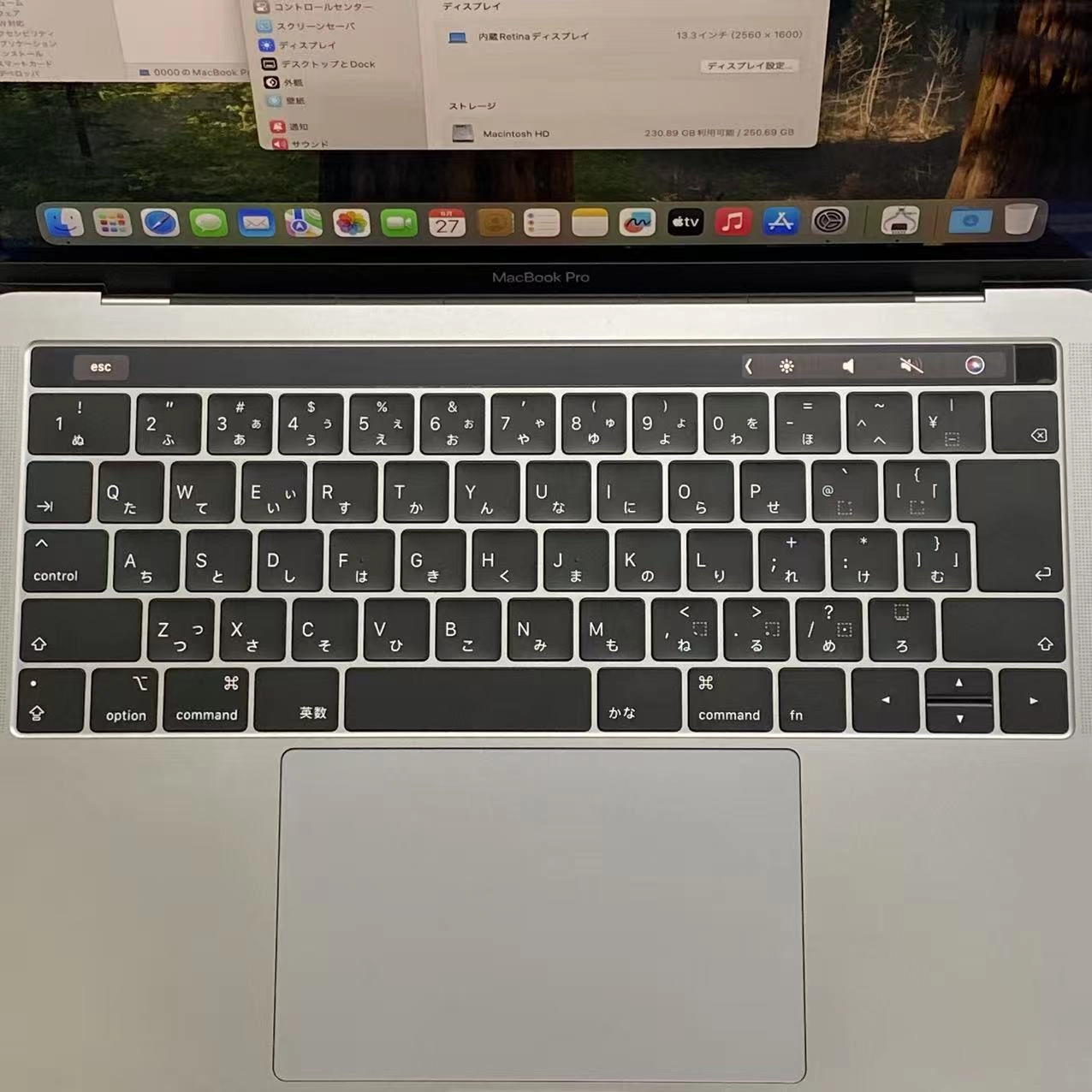 MacBook Pro 13インチ 2018 Thunderbolt 3ポートx 4 16GB/256GB スペースグレイ A1989