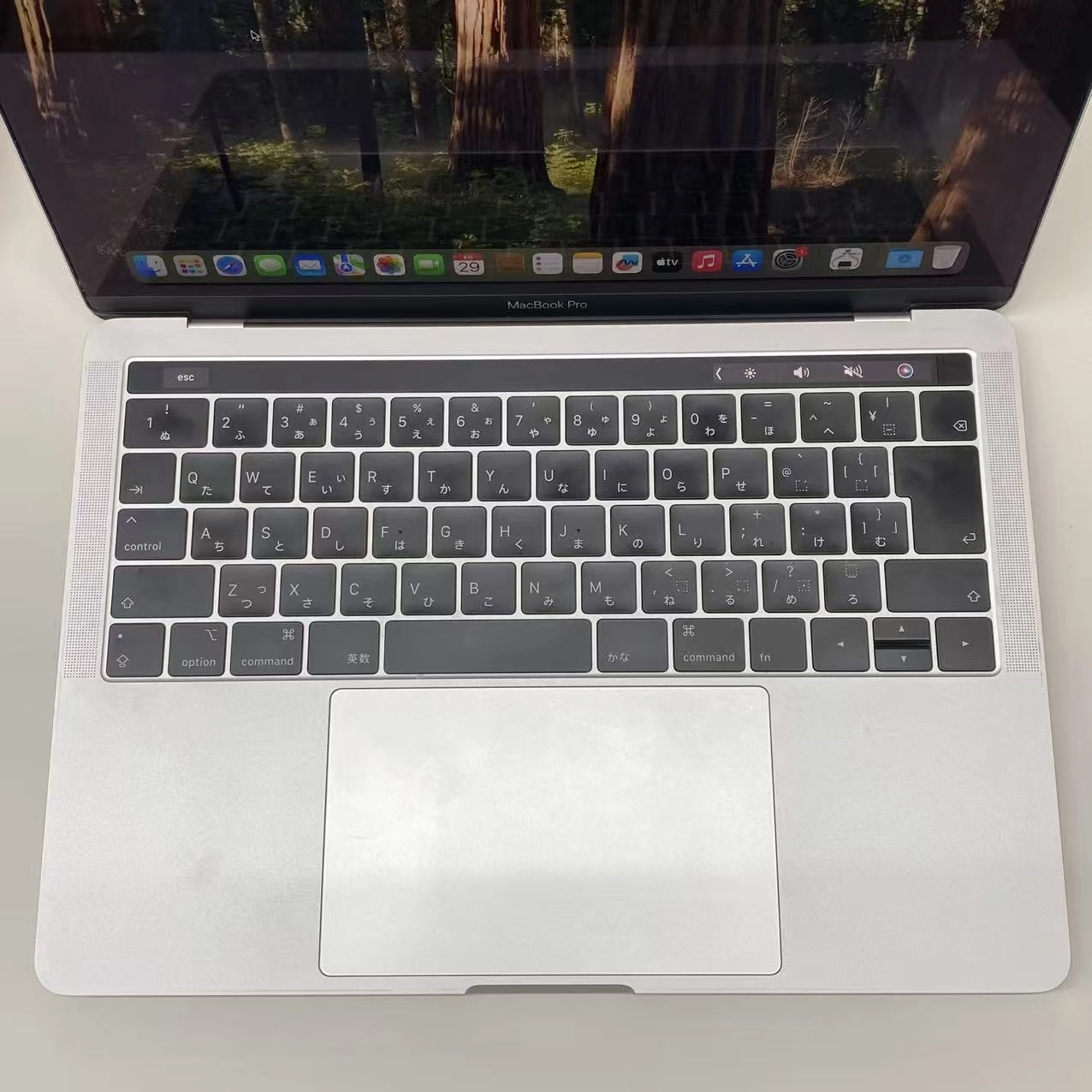 MacBook Pro 13インチ Mid2019 2.4GHz Corei5 8GB/256GB シルバー MV992J/A