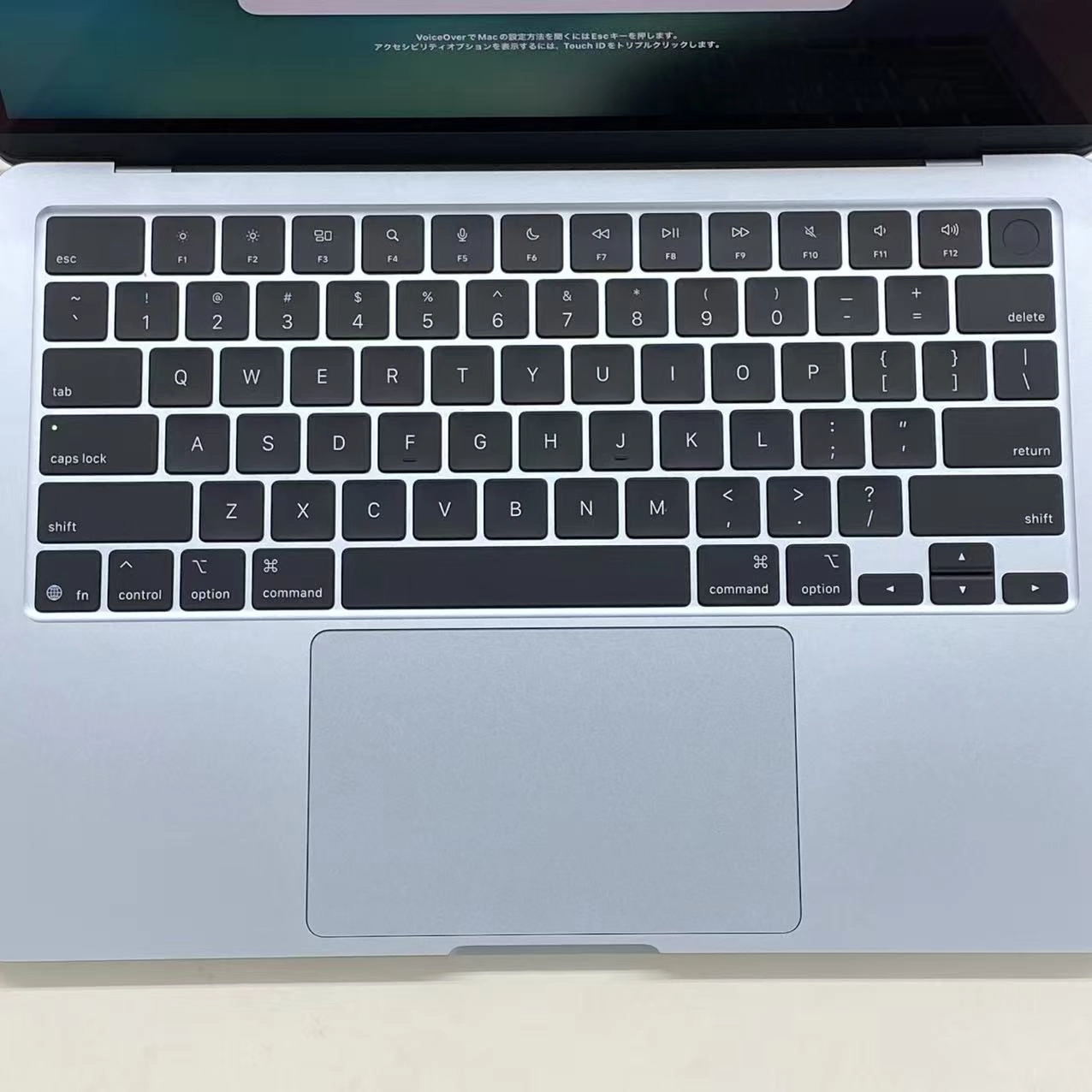 MacBook Air Early2025 13インチ Apple M4 16GB/256GB (CPU:10C/GPU:8C)スカイブルー USキーボード 美品