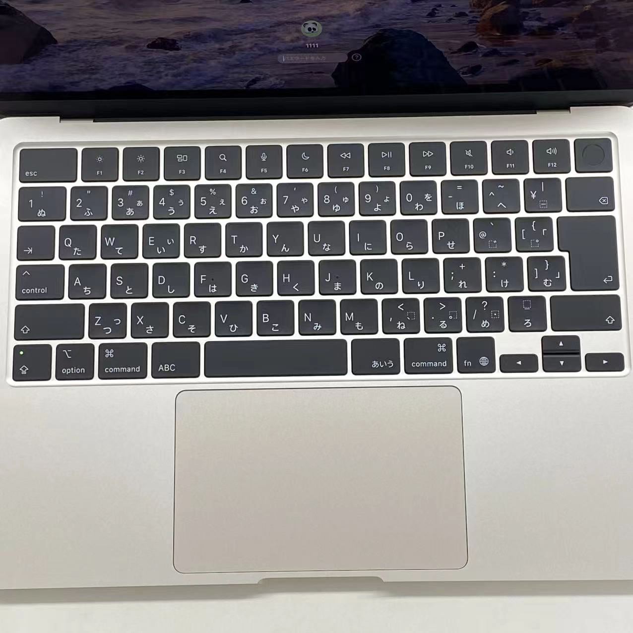 MacBook Air 13インチ Early2025 Apple M4 16GB/512GB (CPU:10C/GPU:10C)スターライト MW103J/A 新品同様