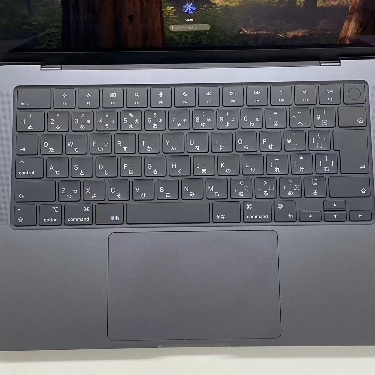 MacBook Pro 14インチ  Late2024 Apple M4(10コア) 10コアGPU 16GB/1TB スペースブラック MW2V3J/A