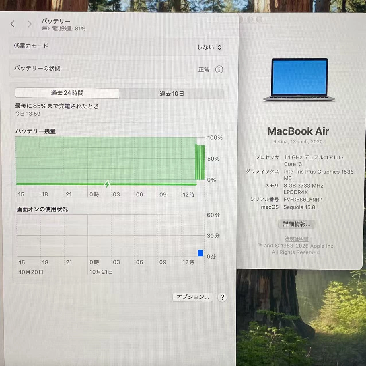 MacBook Air 13インチ Early2020 Corei3 8GB/256GB スペースグレイ MWTJ2J/A