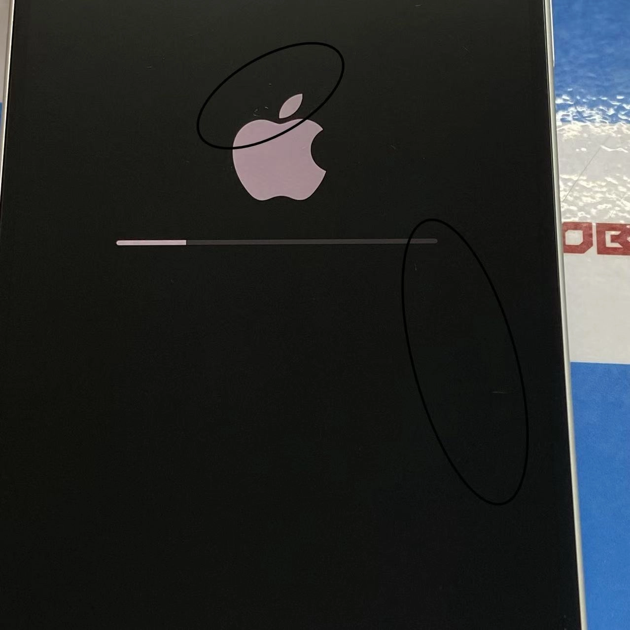 iPhone16 Plus 128GB ホワイト MXVC3J/A SIMフリー